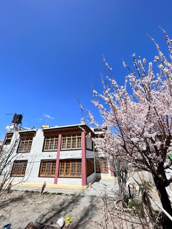 a building withakura trees in front of it at Zambala guest house in Leh