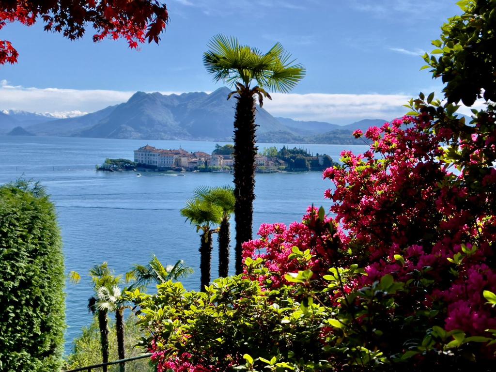 uitzicht op het water met palmbomen en bloemen bij Appartamento vista Lago, giardino spiaggia a Stresa vista Isole Borromee e Golfo Borromeo - STRESAFLAT in Stresa