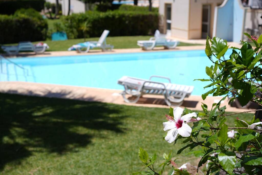 Spacious Portuguese flat with pool next to beach