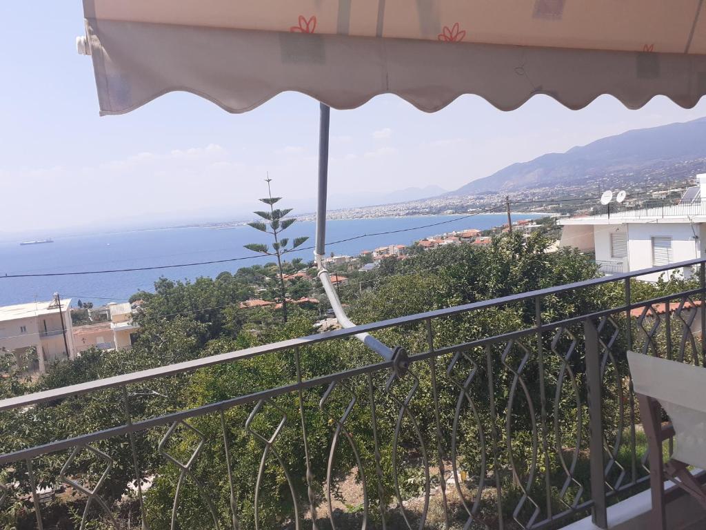 Příroda nedaleko apartmánu