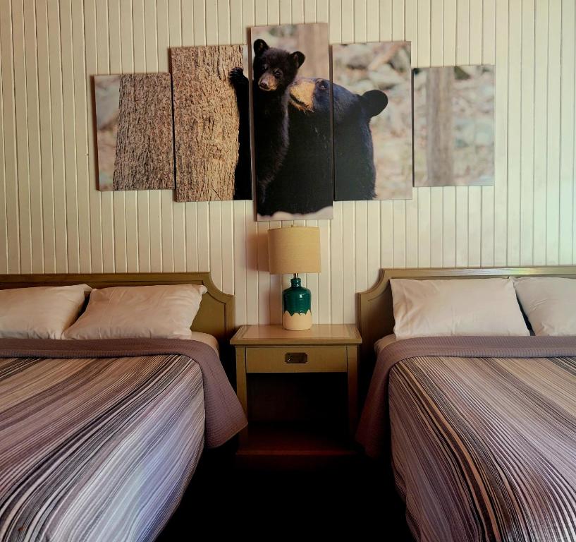 um quarto com duas camas e um urso na parede em High Falls Motel & Cabins em Wawa