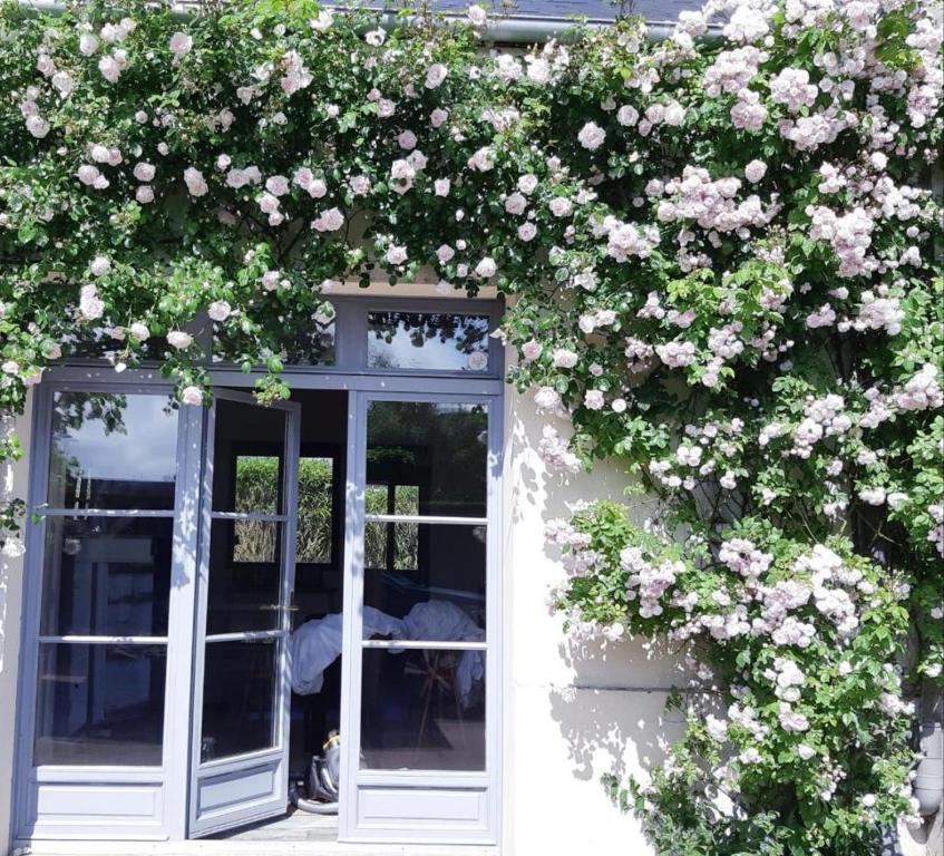 uma janela com flores no lado de um edifício em La Maison de famille les Alizés em Le Crotoy