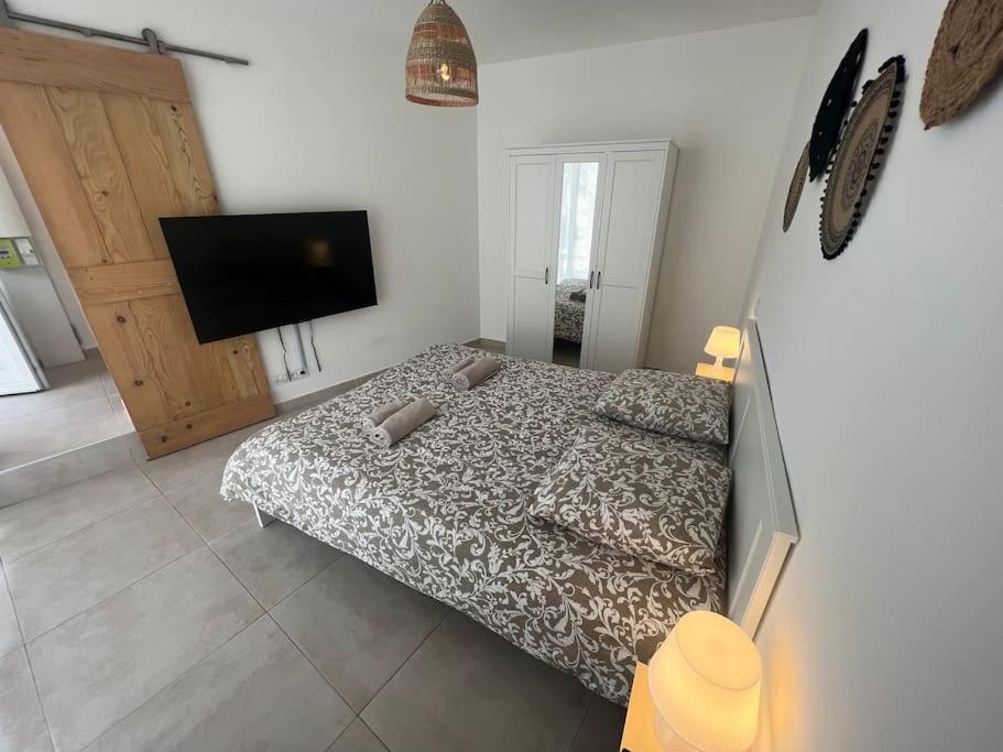 Un dormitorio con una cama y un televisor de pantalla plana. en La Glycine - Parking gratuit - AC CLIM - Cour privé -, en Villeneuve-lès-Avignon