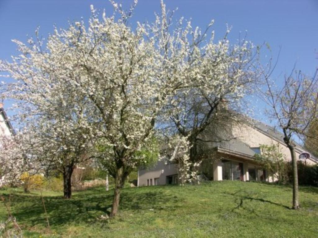 勒芒的住宿－Gazonfier，院子里两棵树的房子