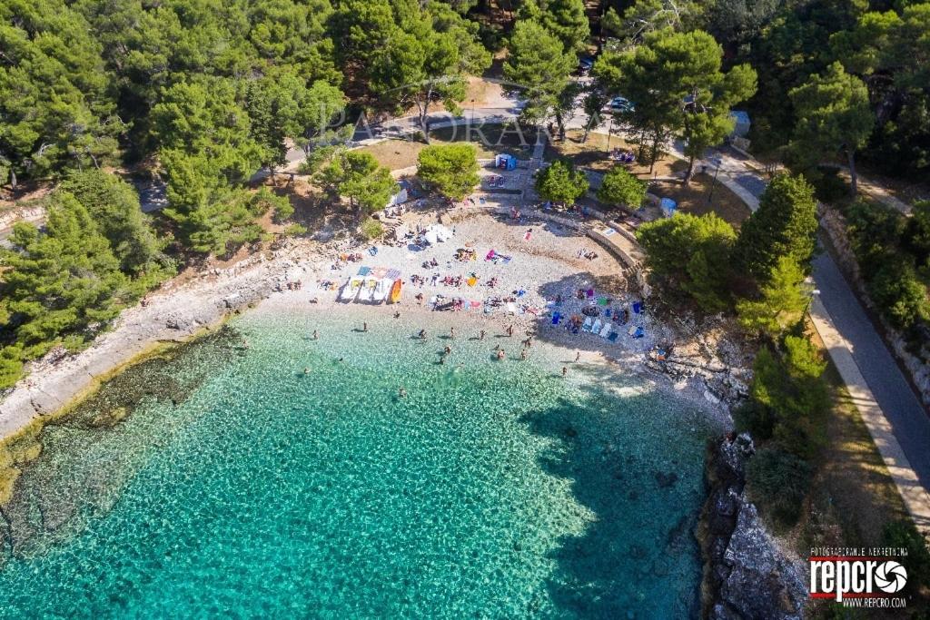 Príroda v okolí apartmánu