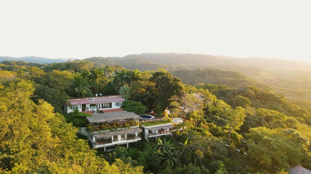 an aerial view of a house in the forest at Tierra Magnifica Boutique Hotel in Nosara