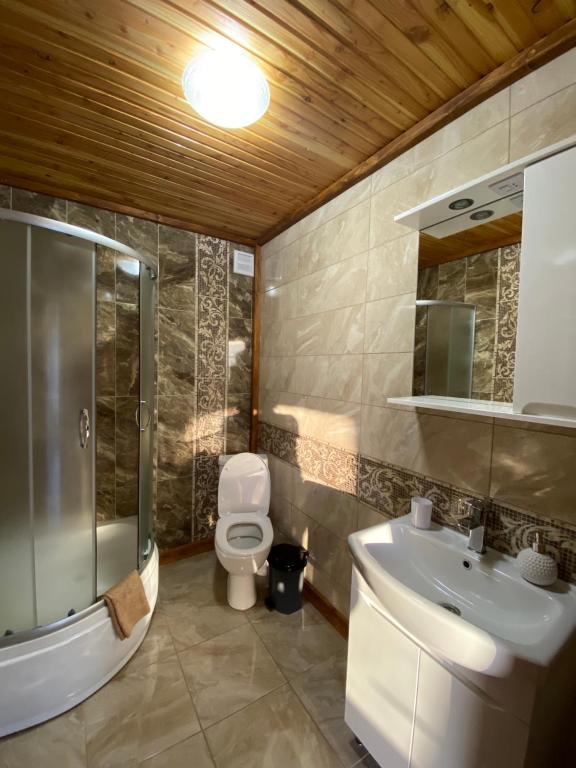 Un baño con inodoro, lavabo y ducha. en Лучка, en Mykulychyn