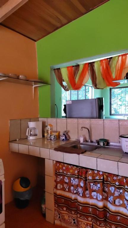 cocina con fregadero y pared verde en Ramaye Beach House, en Paquera
