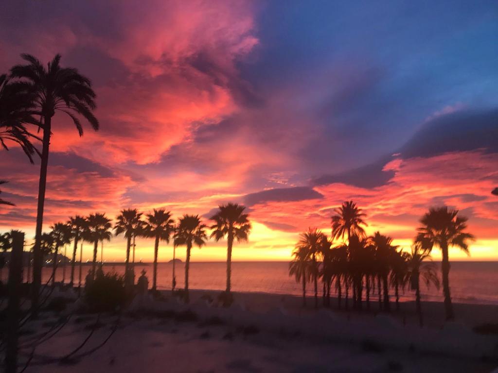 a group of palm trees on a beach with a sunset at Casa Mamacita en la playa con vista al mar/Casa Mamacita at the beach with sea view in Villajoyosa