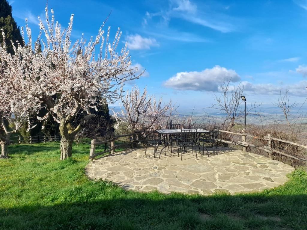阿爾奇多索的住宿－Agriturismo La valle del Monte Aquilaia，庭院内摆放着桌椅