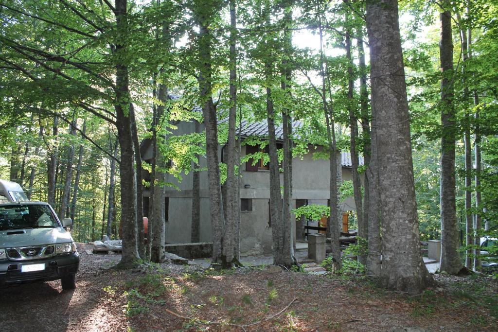 a car parked in front of a house in the woods at Casa nel bosco alle Macinaie in Monte Amiata