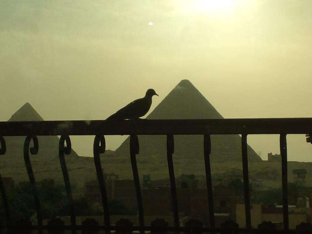 a bird sitting on a fence in front of pyramids at king ramses pyramids view apartment in Cairo