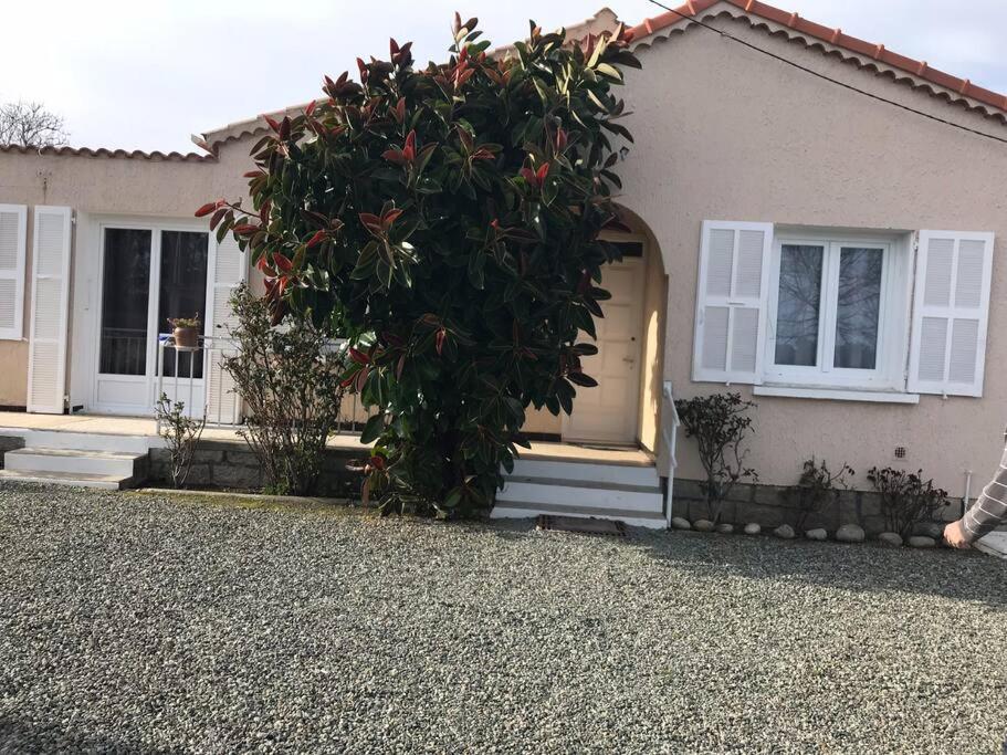 dom z dużym krzakiem przed nim w obiekcie villa gambotti w mieście Morta