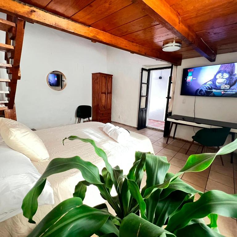 TV a/nebo společenská místnost v ubytování Hostal Luna 49