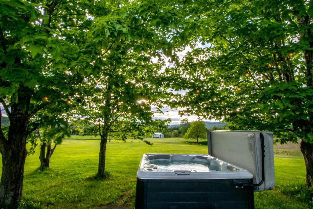 a hot tub sitting in the grass under a tree at Mountain View, Hot Tub, Trail Access, Spa in Saint-Raymond