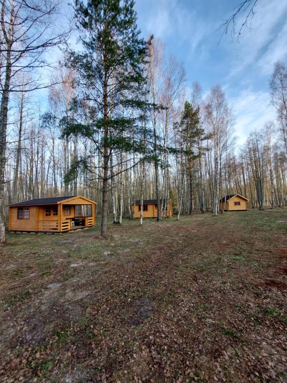 Fotografie z fotogalerie ubytování Kempings Mežvēji v destinaci Jaunciems
