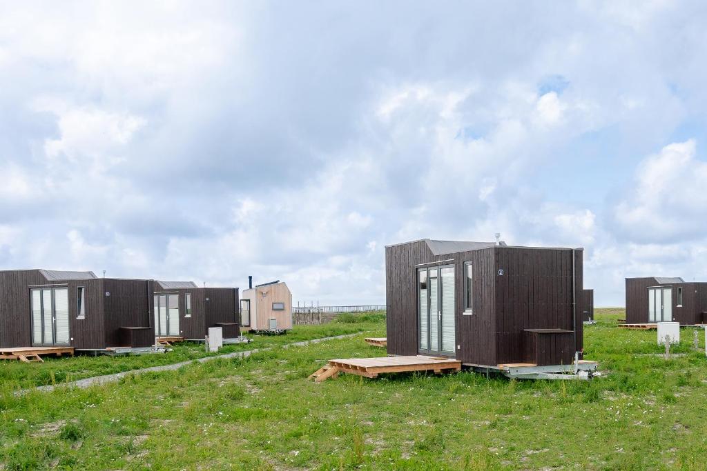 a row of tiny houses sitting in a field at Tiny House Nature 2 Innenlage - Green Tiny Village Harlesiel in Carolinensiel