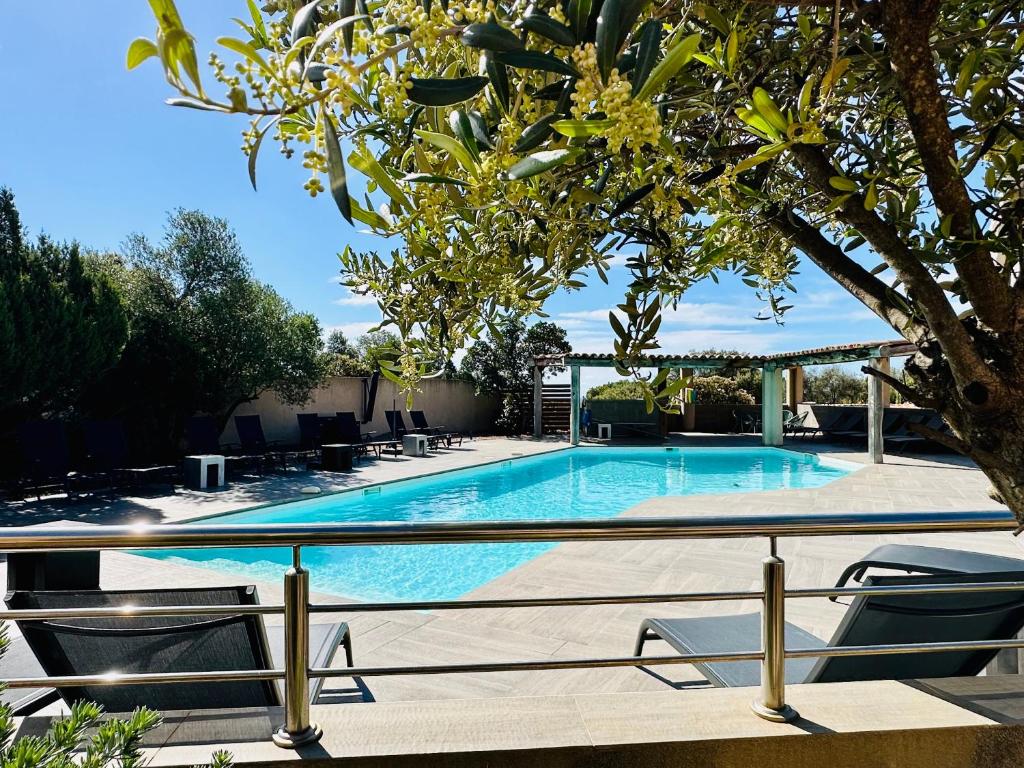 - une piscine avec deux chaises et un arbre dans l'établissement Residence Casa Di Paoli, à Porto-Vecchio