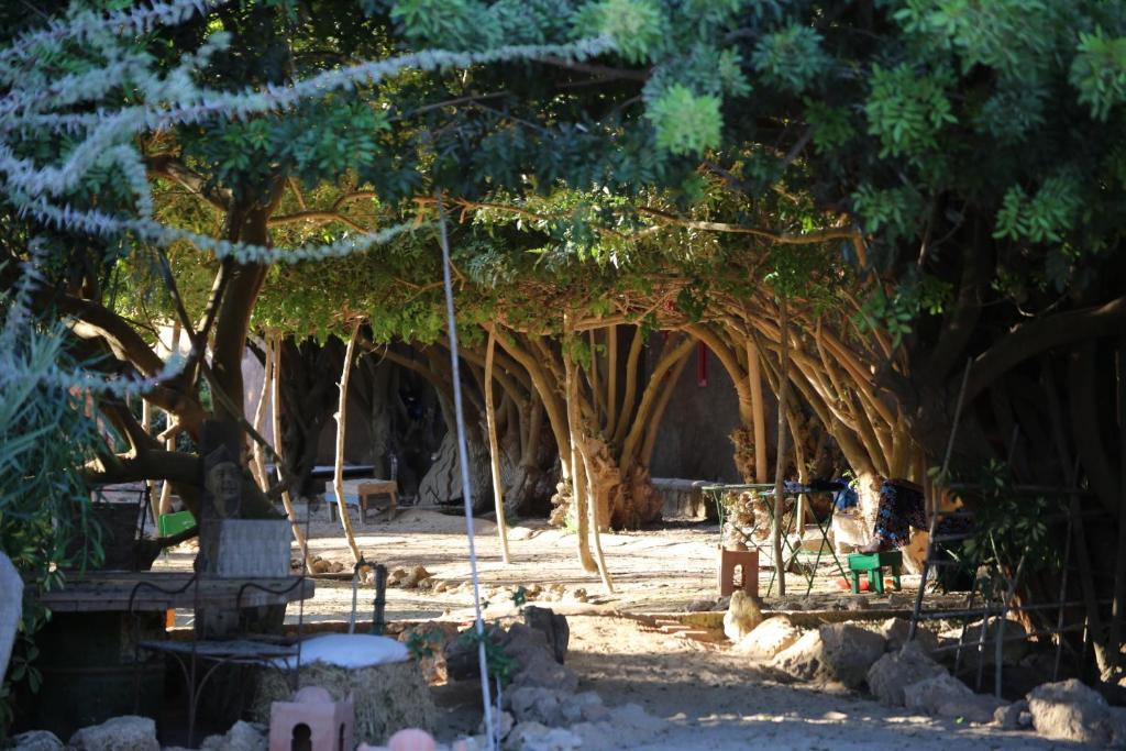 Zahrada ubytování Dar Tawarta Guest House Dakhla