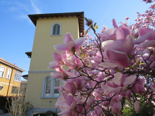 ガルバニャーテ・ミラネーゼにあるVilla Virginiaの建物前のピンクの花の木