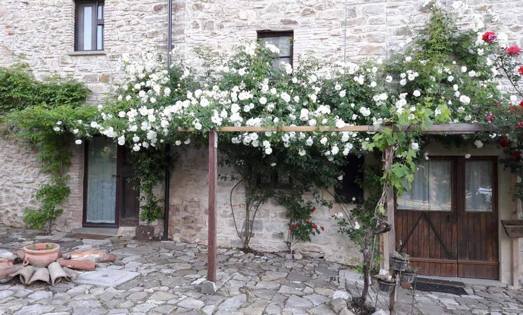 a pergola with white flowers in front of a building at Casa Shalom in Pennabilli