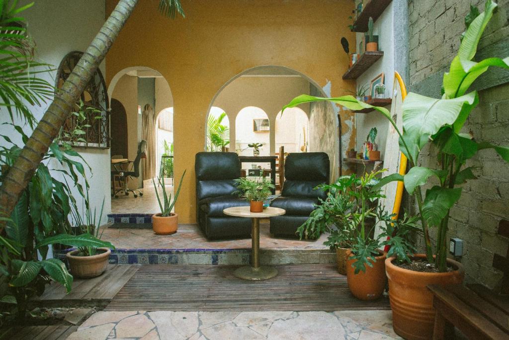 a living room with two chairs and potted plants at Puerto Dreams H in Puerto Escondido