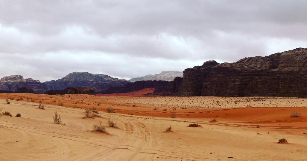 una escena del desierto con montañas y un camino de tierra en Experience sleep under the star en Wadi Rum