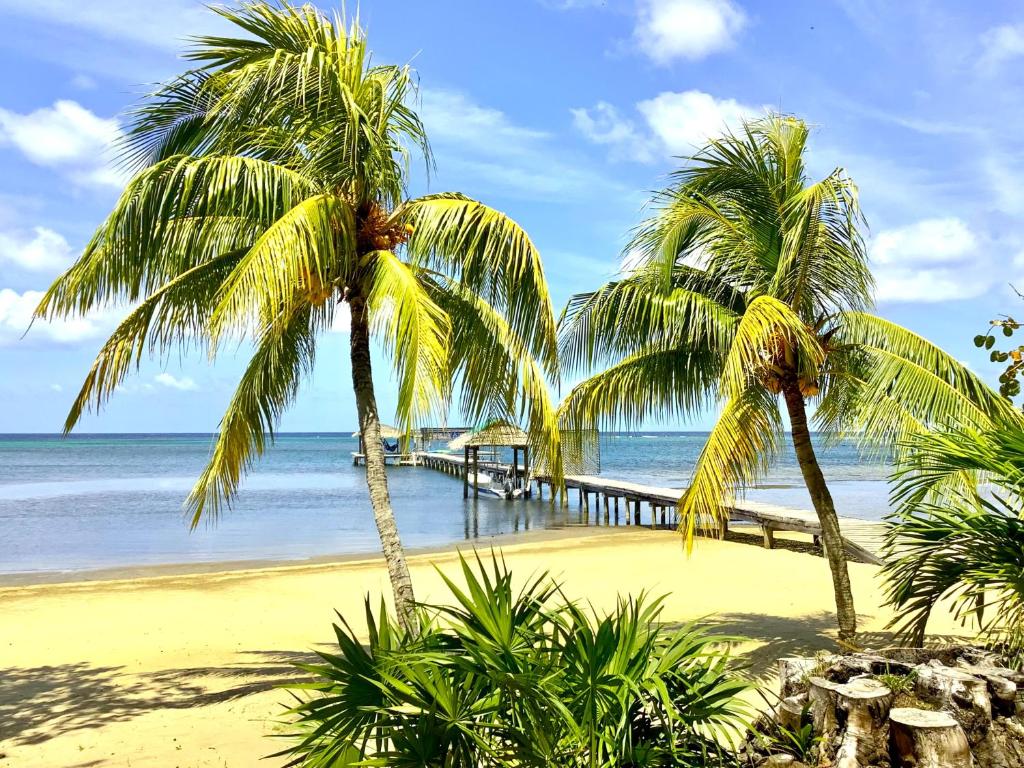 The Perch, Sandy Bay (updated prices 2024)