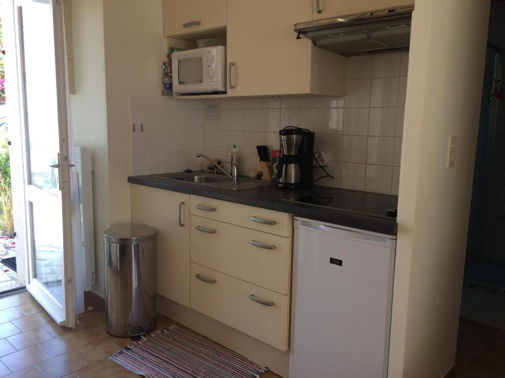 kuchnia ze zlewem i kuchenką mikrofalową w obiekcie La maisonnette des vacances w mieście Saint-Georges-dʼOléron