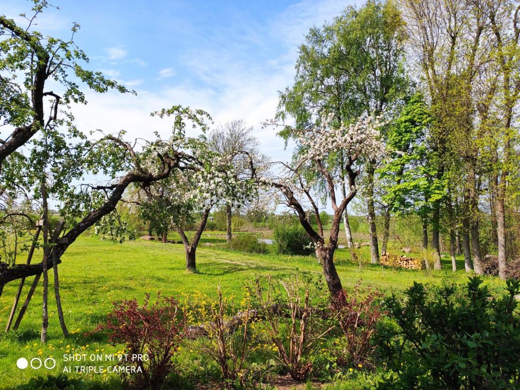 Jardín al aire libre en Podlaski Dom - Zubrzyca Noclegi