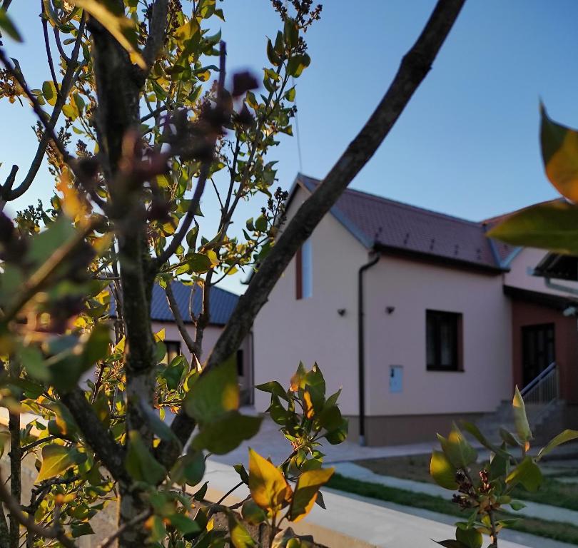 Čaglin的住宿－Agroturizam OPG Jakopović，前面有一棵树的房子