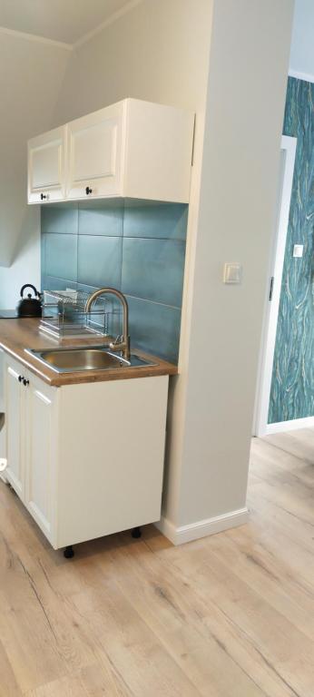 Kuchyň nebo kuchyňský kout v ubytování Apartamenty Heweliusz House