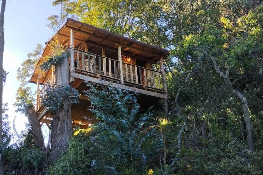 uma casa na árvore no meio da floresta em Casiopea Glamping em Tabio