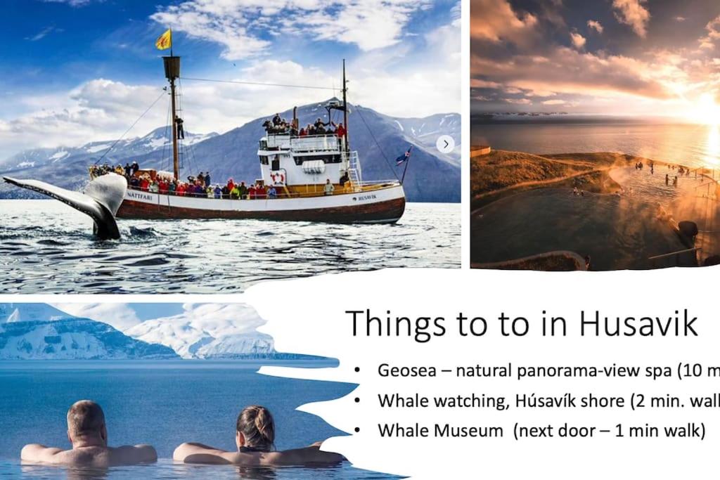 a collage of photos with a whale in the water and a boat at The Foreman house - an authentic town center Villa in Húsavík