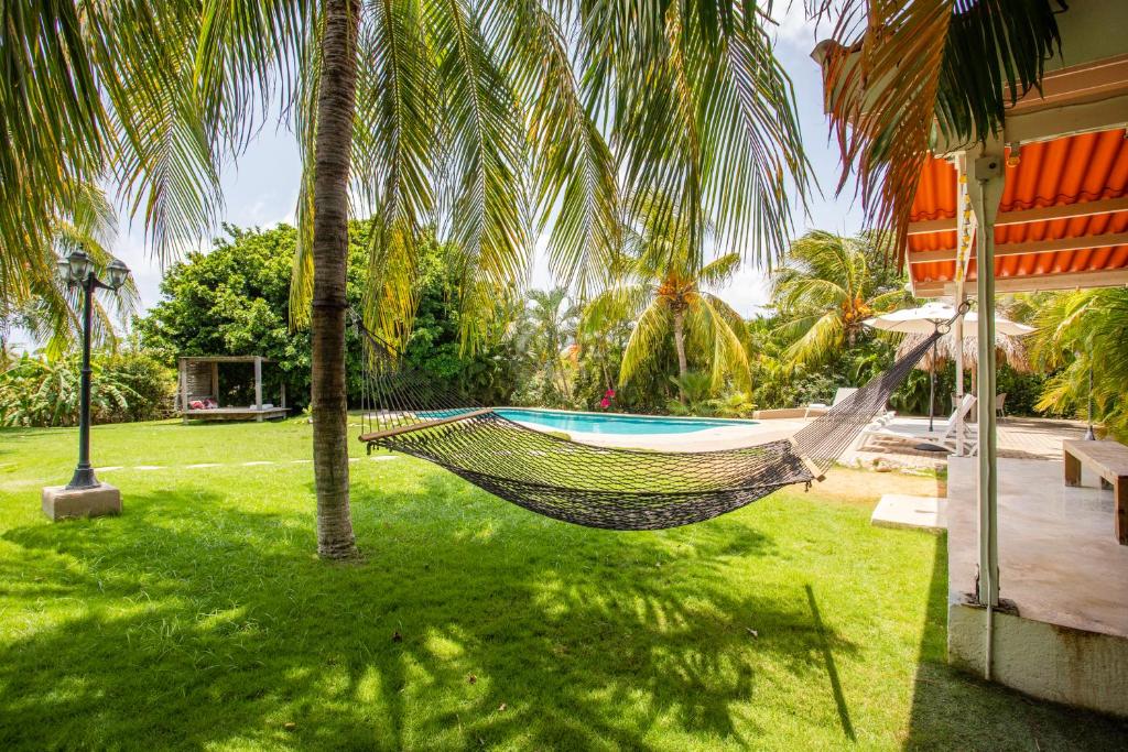 Zahrada ubytování TUK Tropical Boutique Resort Jan Thiel