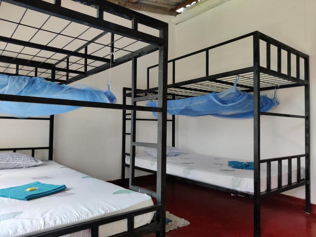 a couple of bunk beds in a room at Catch The Ella Train Hostel in Kandy