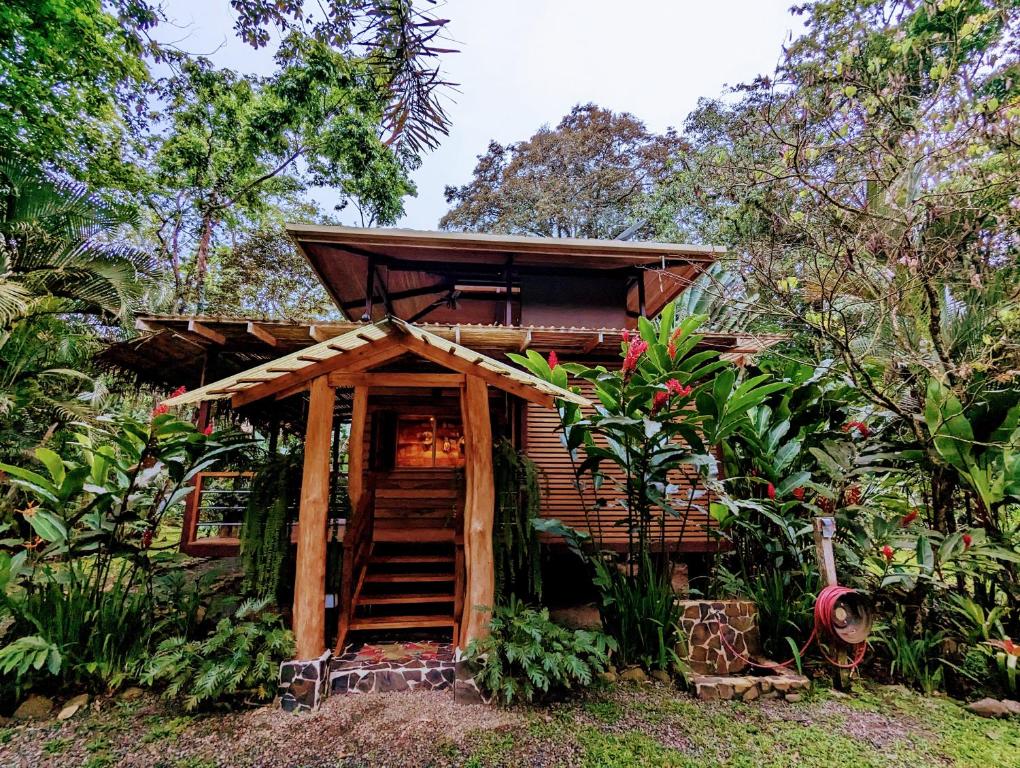 eine kleine Hütte mitten im Wald in der Unterkunft Cabina Harlequin at Margarita Hills Farm in Cocles