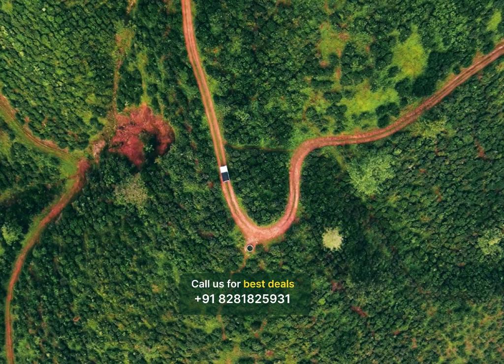 a road in the middle of a field with a river at Mount Forest in Meppādi