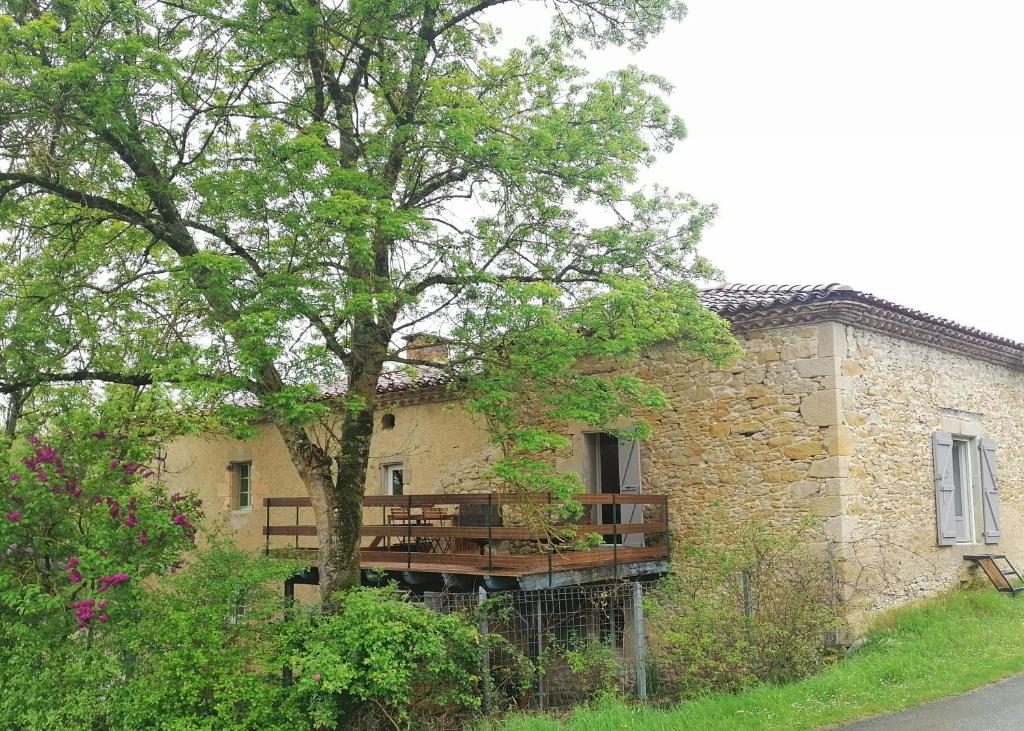 una casa de piedra con un árbol delante en Gîte du Fassac en Saint-Julien-du-Puy