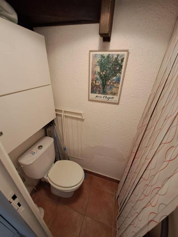 a bathroom with a toilet and a picture on the wall at T3 Le Bagnolet Les Mas de Pramousquier in Le Lavandou