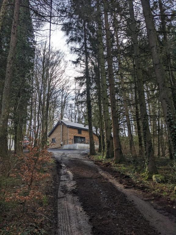Příroda nedaleko prázdninového domu