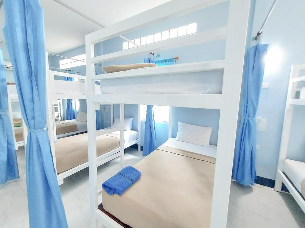 a bedroom with two bunk beds with blue curtains at Khao Sok Backpacker Hostel in Khao Sok
