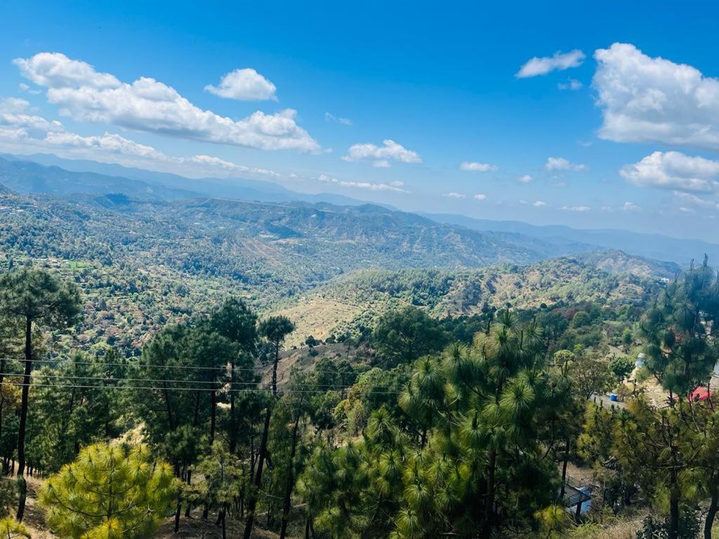 Blick auf ein Tal mit Bäumen und Bergen in der Unterkunft HILLS HOME in Shimla