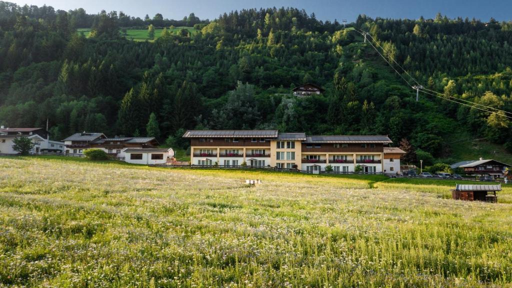 Príroda v okolí apartmánu