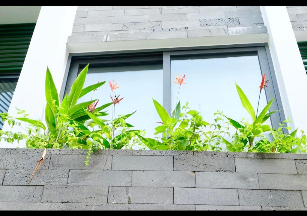 Nhà 6 Phòng ngủ