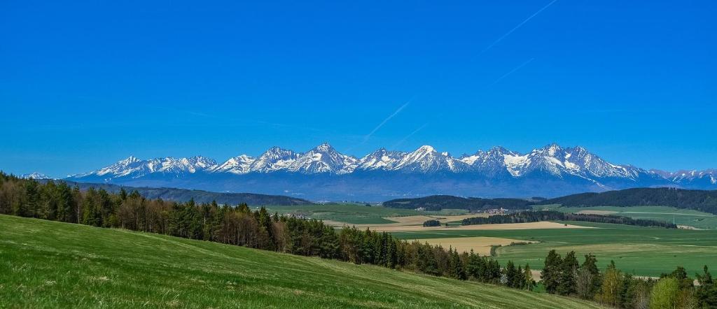 a view of a mountain range with a green field and trees at Apartman Family in Poprad