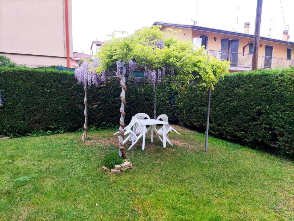 A garden outside Casa Alice