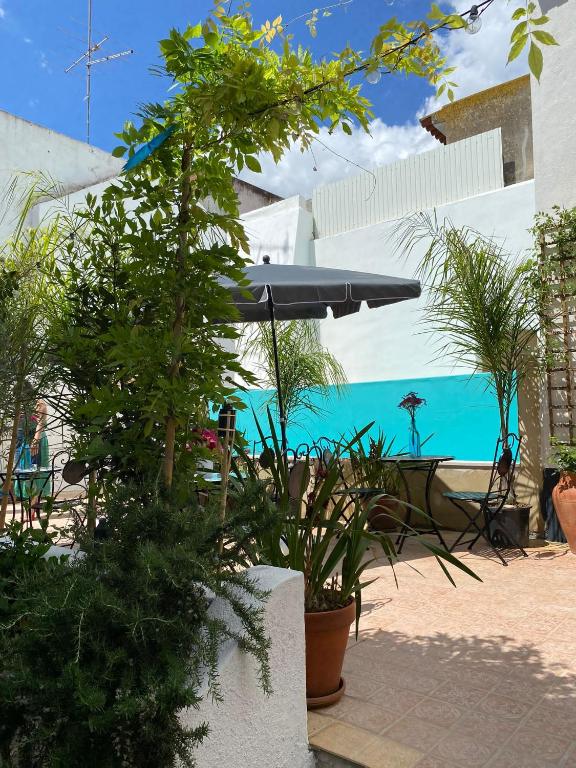 Pátio da Villa - Coruche Boutique Guest House - 9