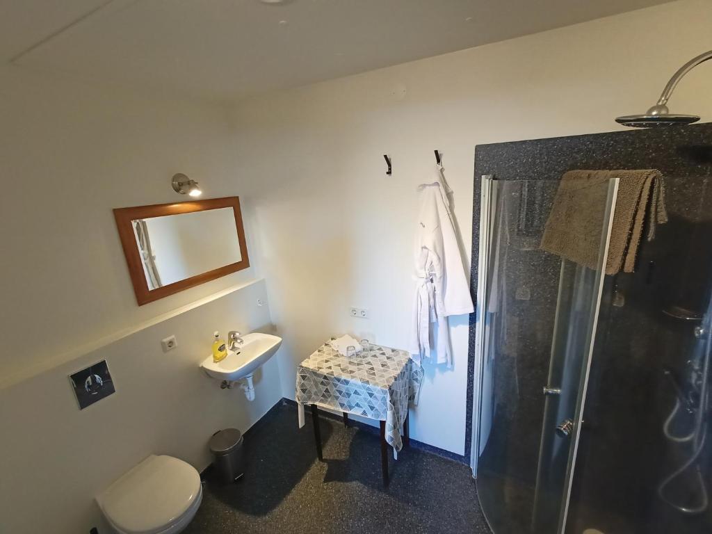 Koupelna v ubytování Guesthouse Storu-Laugar