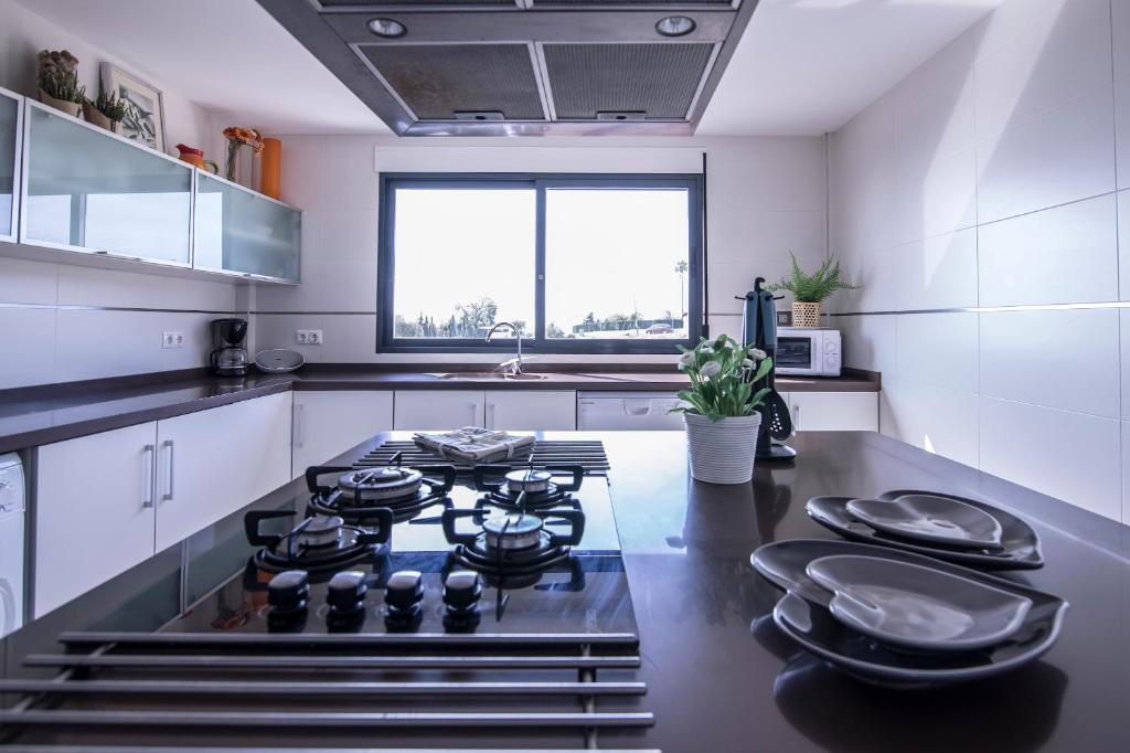 Kuchyň nebo kuchyňský kout v ubytování Villa moderna con piscina